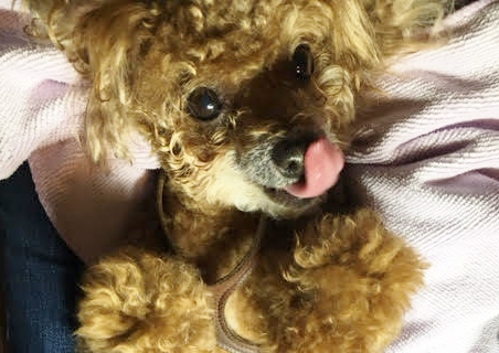あああああ あああああ