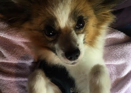 あああああ あああああ