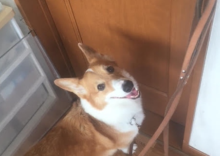 あああああ あああああ