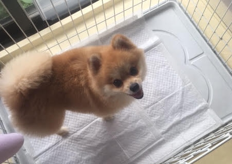 あああああ あああああ