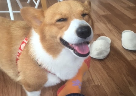 あああああ あああああ