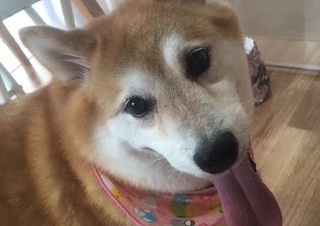 あああああ あああああ