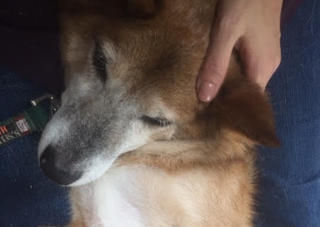 あああああ あああああ