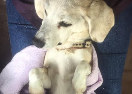 あああああ あああああ