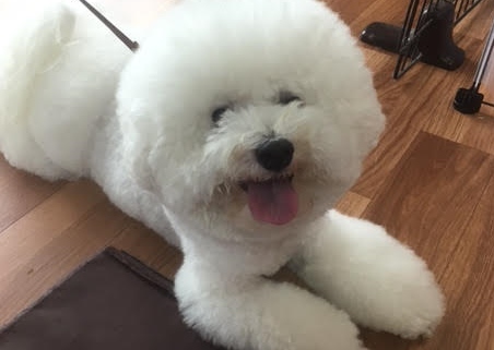 あああああ あああああ