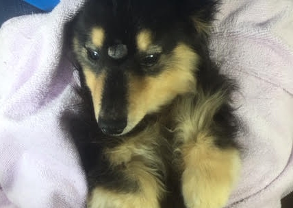 あああああ あああああ