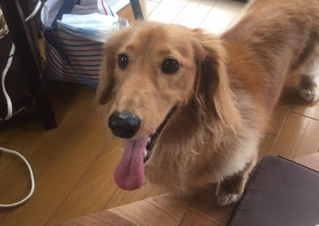 あああああ あああああ