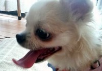 あああああ あああああ