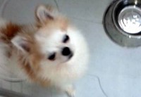 あああああ あああああ