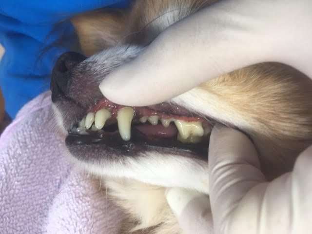 あああ あああ