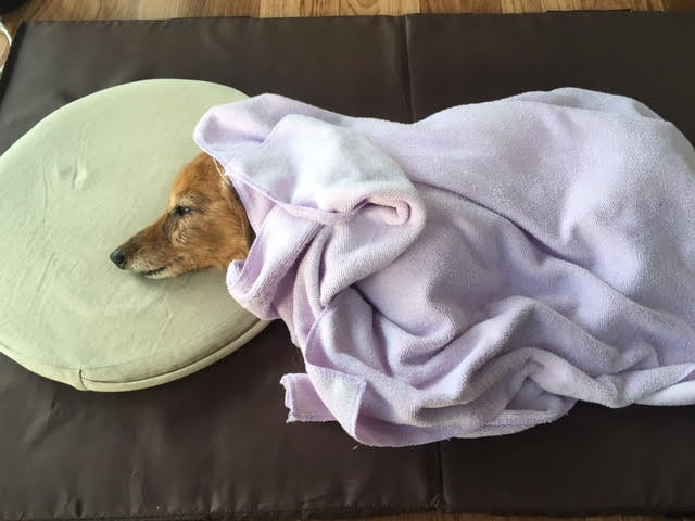 あああああ あああああ