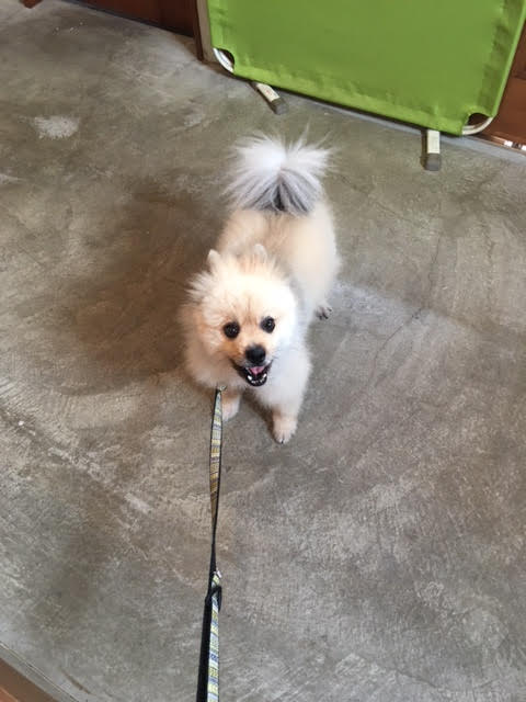 あああああ あああああ