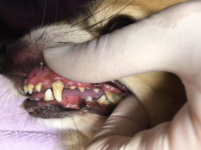 ああ ああ