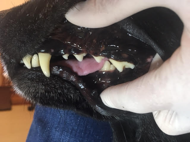 あああ あああ