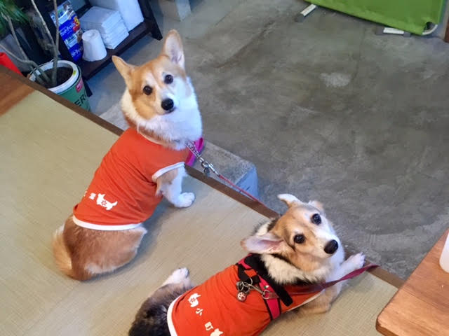 あああああ あああああ